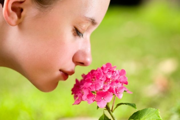 Human sense of smell is more acute than most people think — Science - Can Smelling Weed Make You Fail A Drug Test