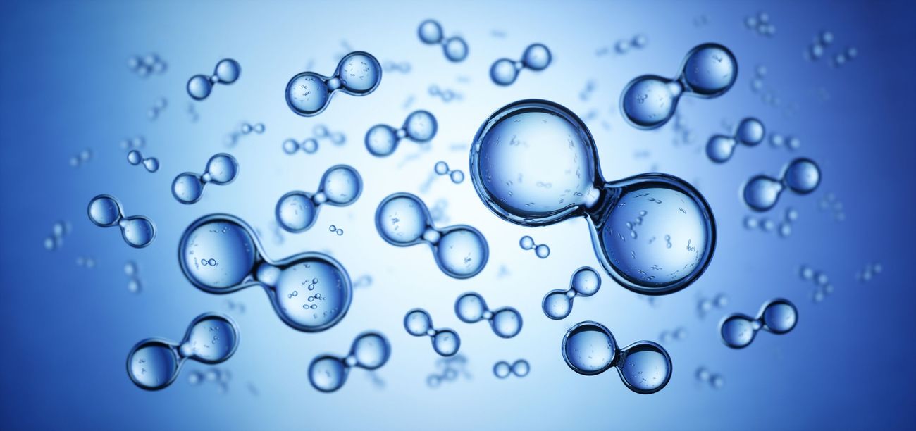 Hydrogen - IGIPR2023 - Hydrogen Water Bottles That Can Use Tap Water