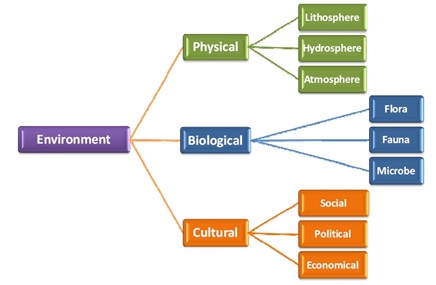 Provides Input About Environment And Environmental Conditions