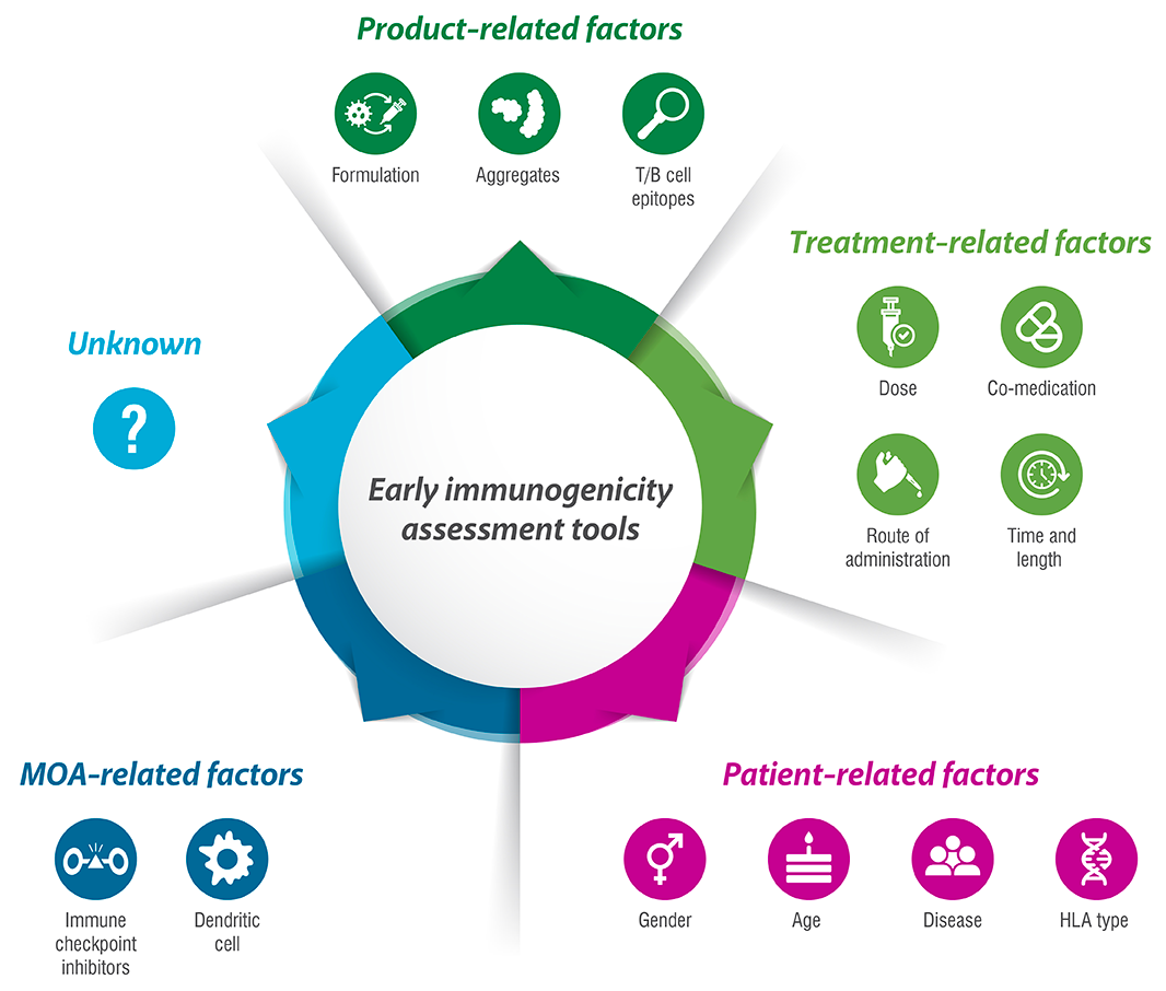 Immunogenicity Assessment For Therapeutic Protein Products