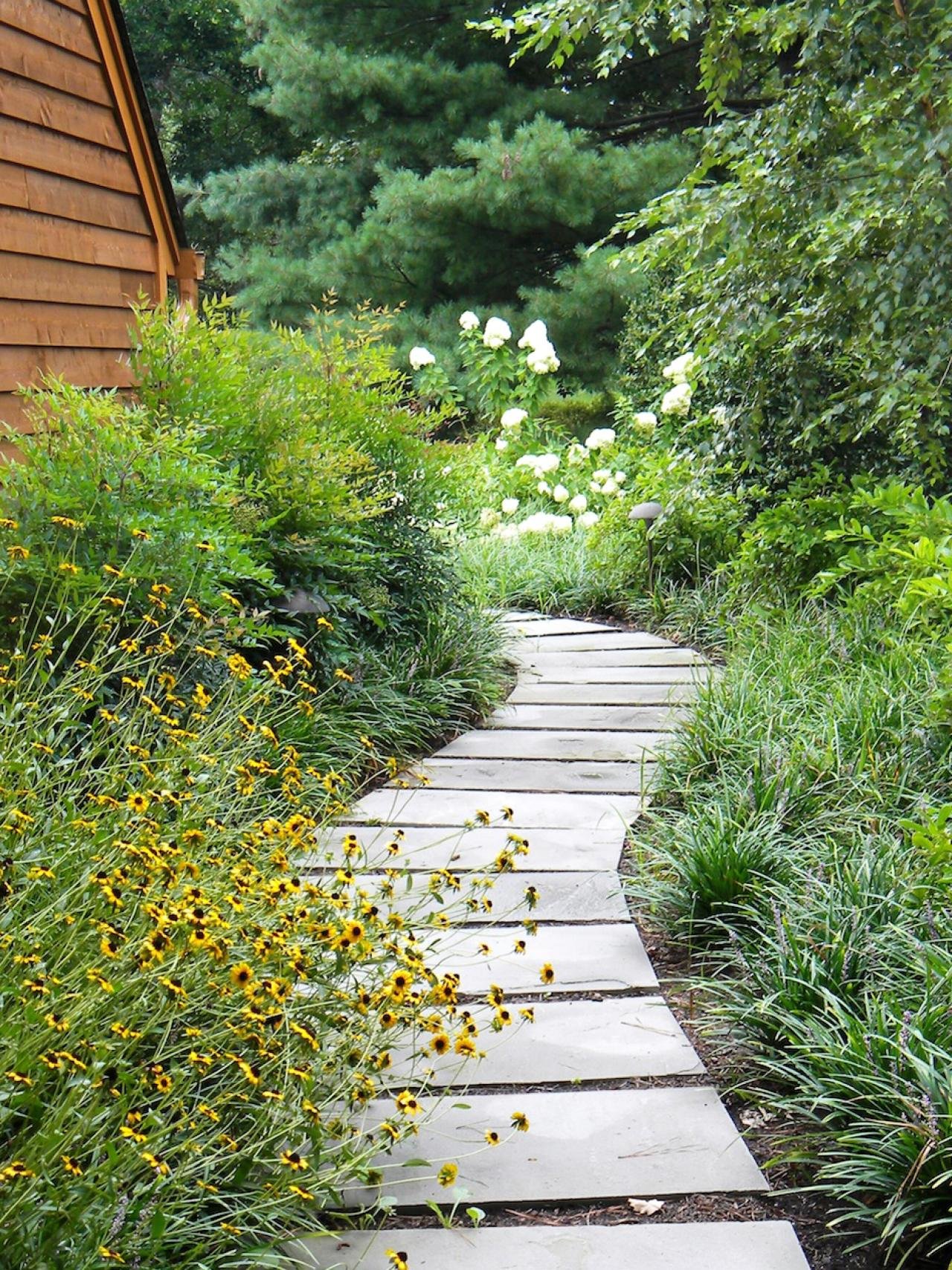 Pathways To A Better Life Reviews