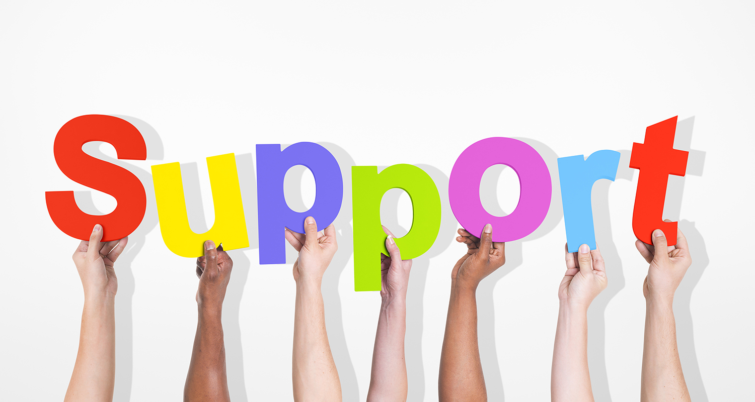 Support Cells In The Central Nervous System Are Collectively Called