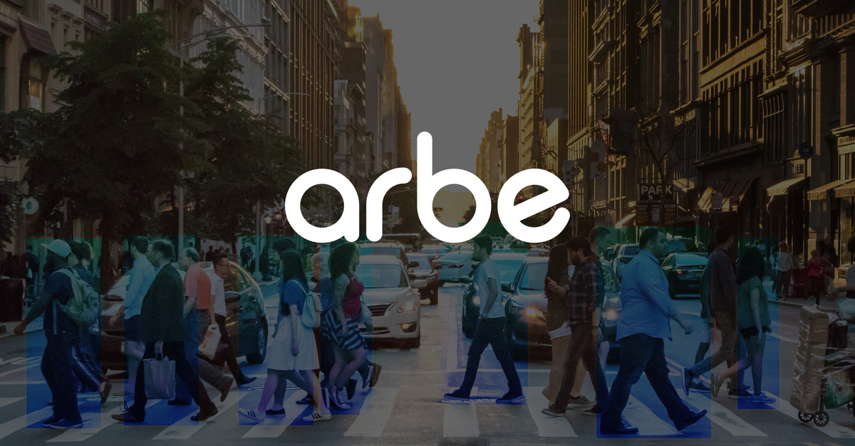 Arbe Robotics Financial Performance February 2025
