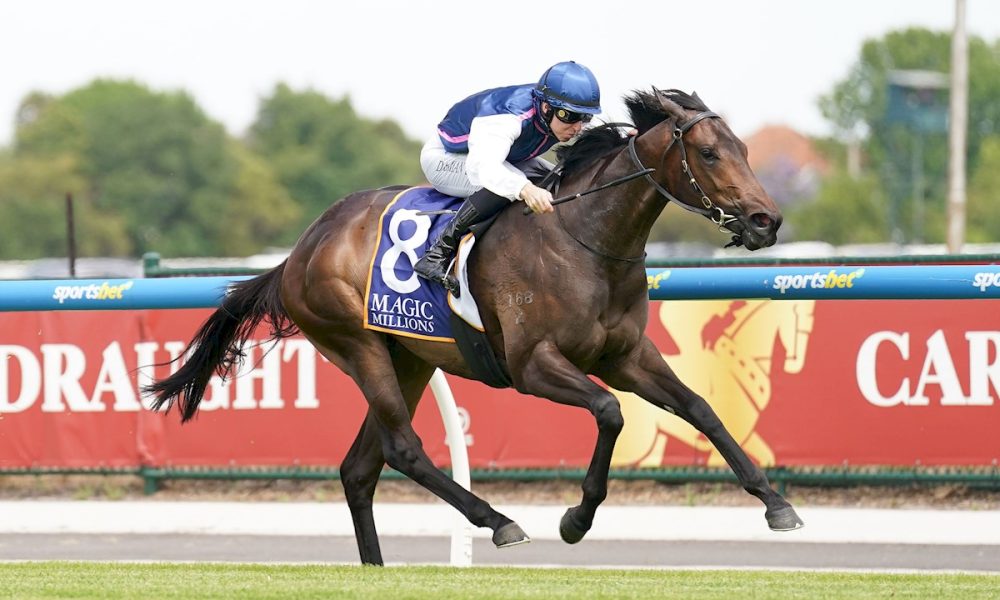 Invincible Woman showcases Magic Millions Classic quality - ANZ - Quality Of Information That Assures Users That Information