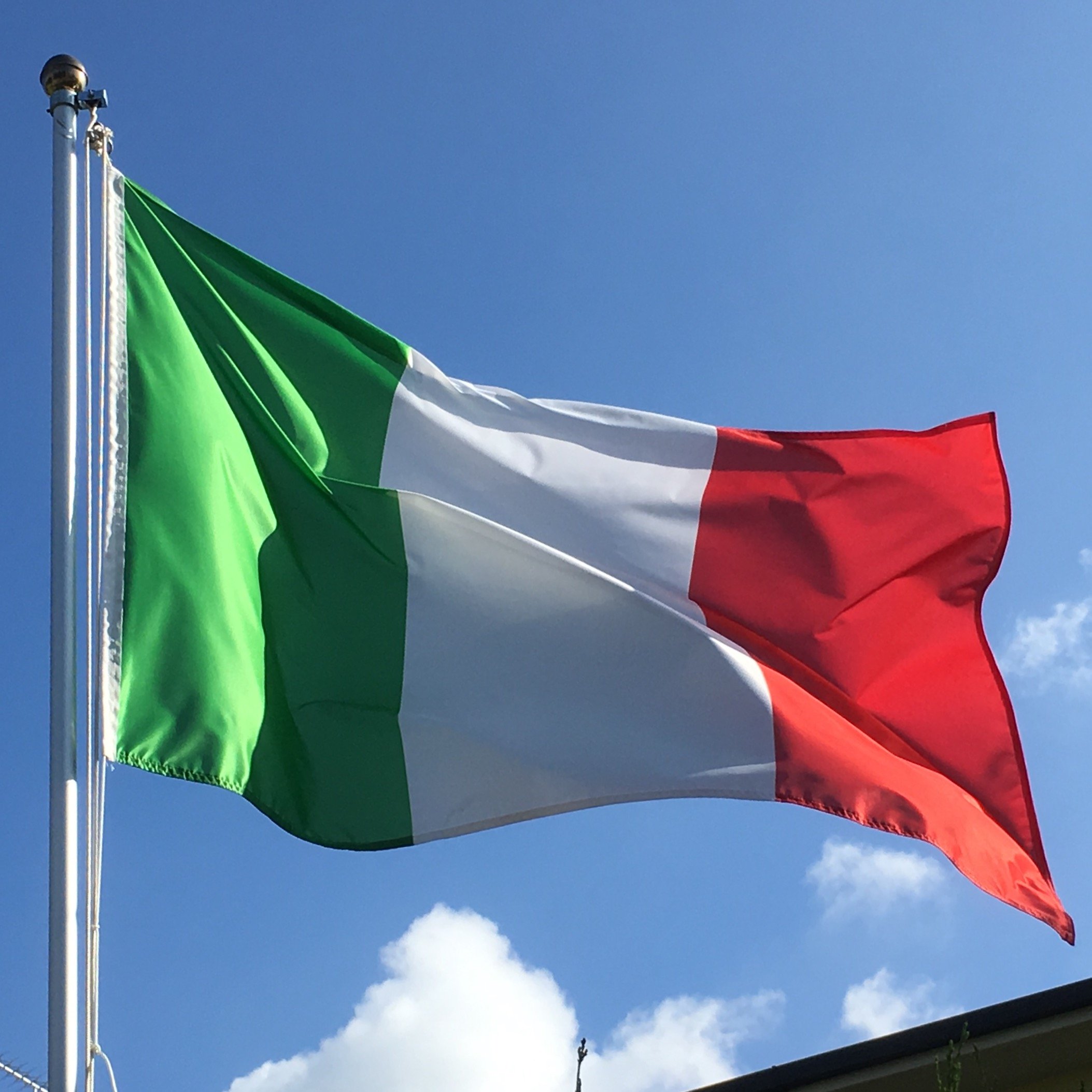 Italy Flag - Italy Syringes Needles And Urinary Catheters Market
