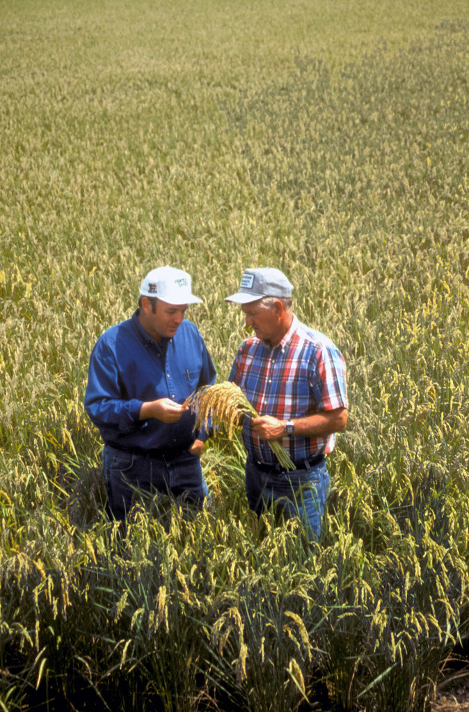 Farmers Bank Of Willards Changing Phone Number