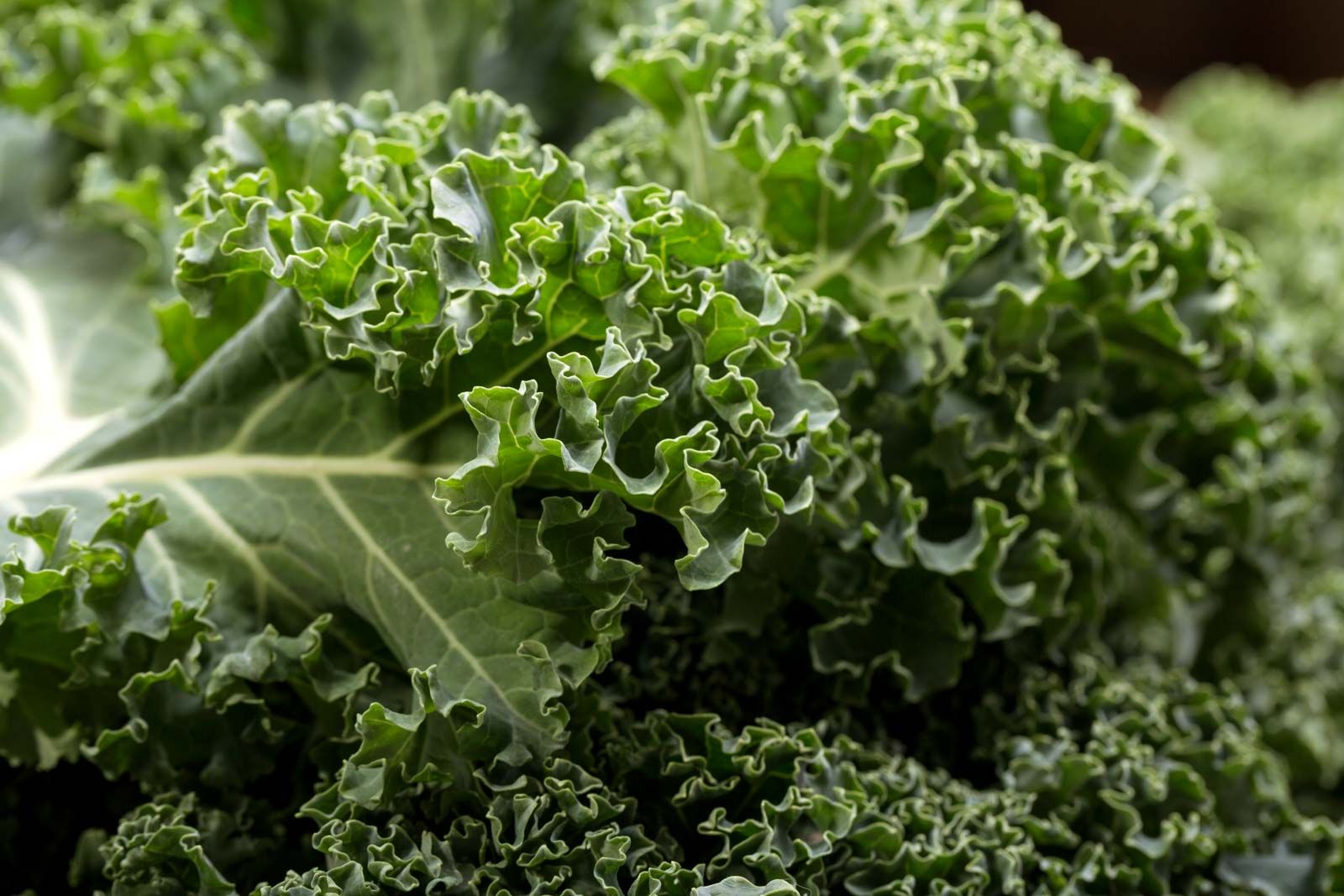 Kale Green Tea Spinach Age Prevention Cleanser