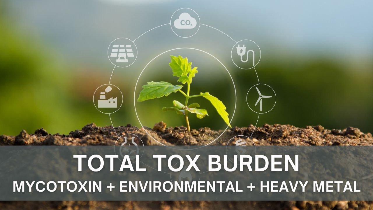 Vibrant Wellness Total Tox Burden Test Cost