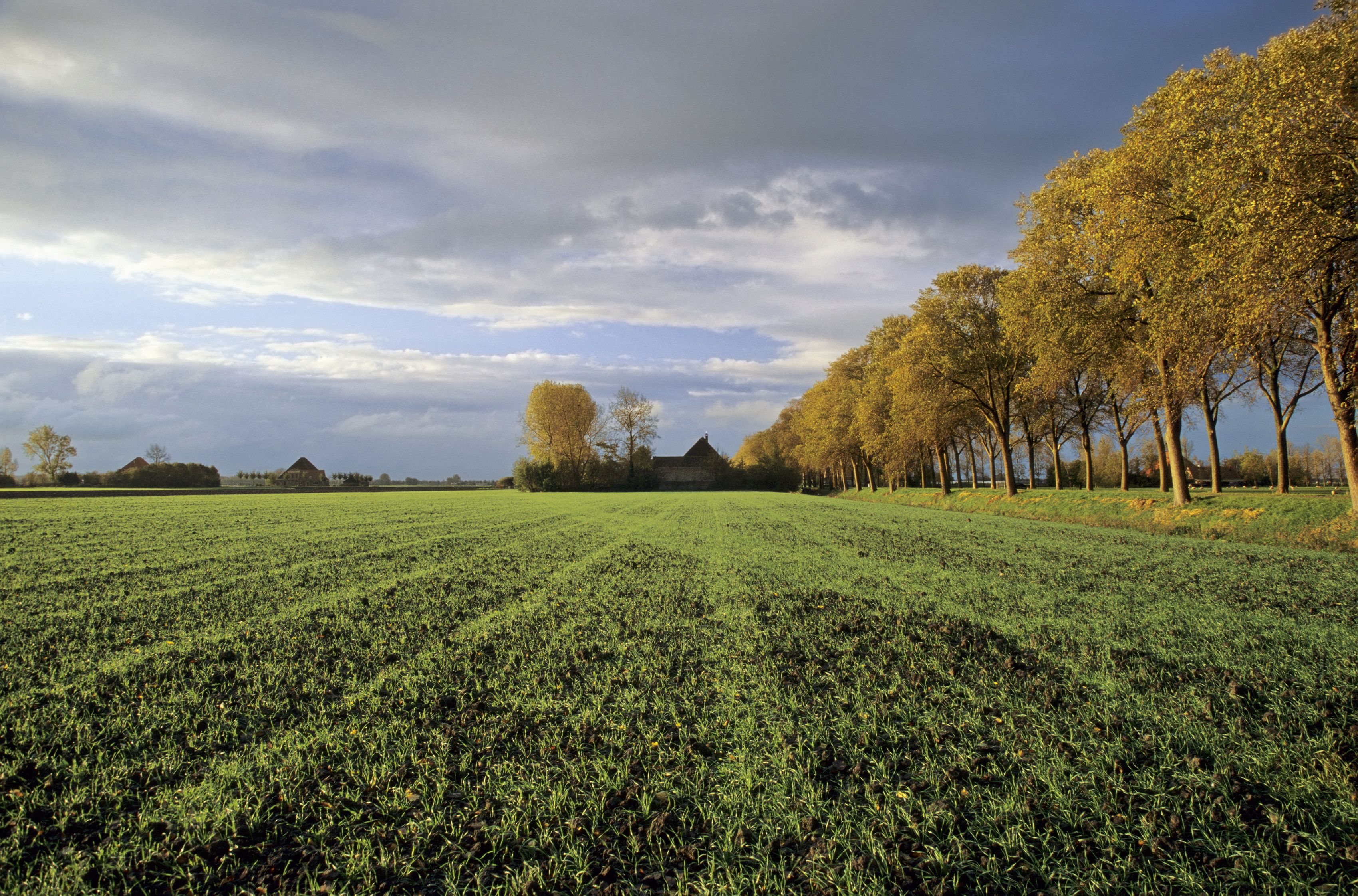 Land For Sale In Orange County Ca