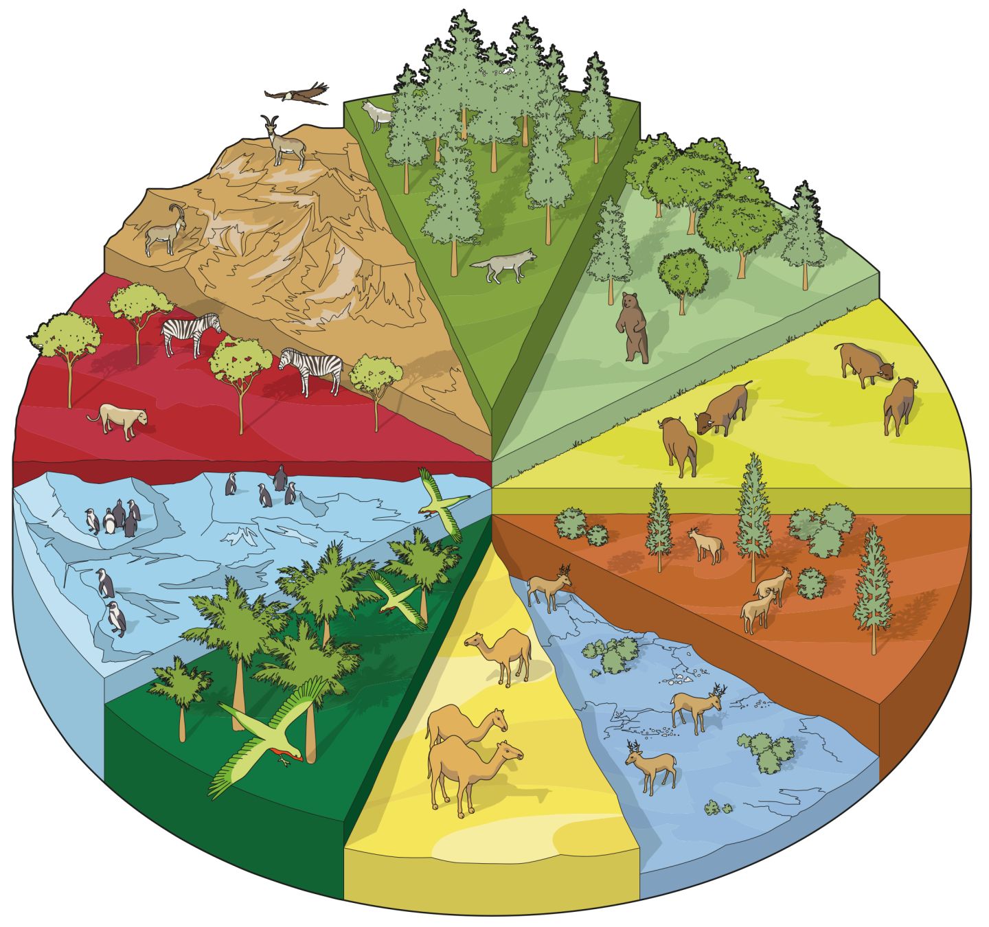 Land Habitats | Different Habitat Types | DK Find Out - Habitat For Humanity Greater Toronto Area
