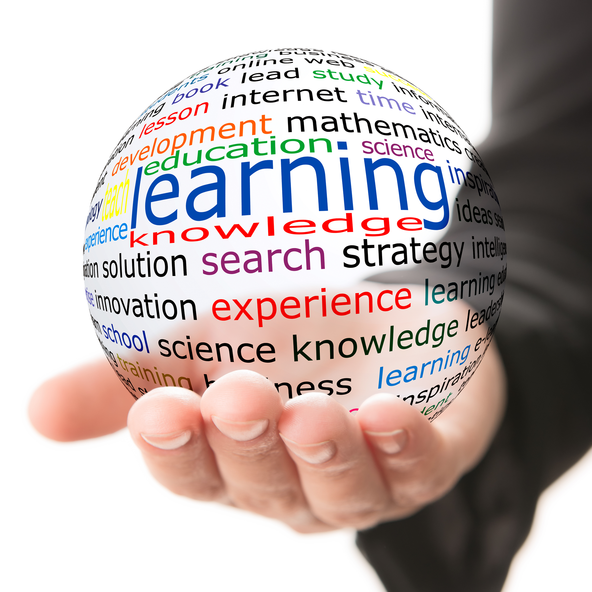 Learning And Memory From Brain To Behavior
