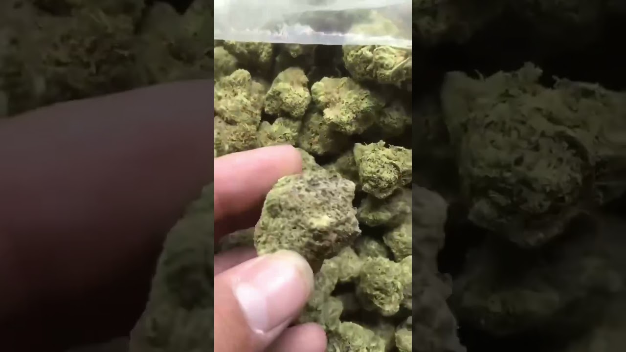 Legit online dispensary shipping worldwide Best online cannabis - Online Dispensary That Ships To All States Reddit