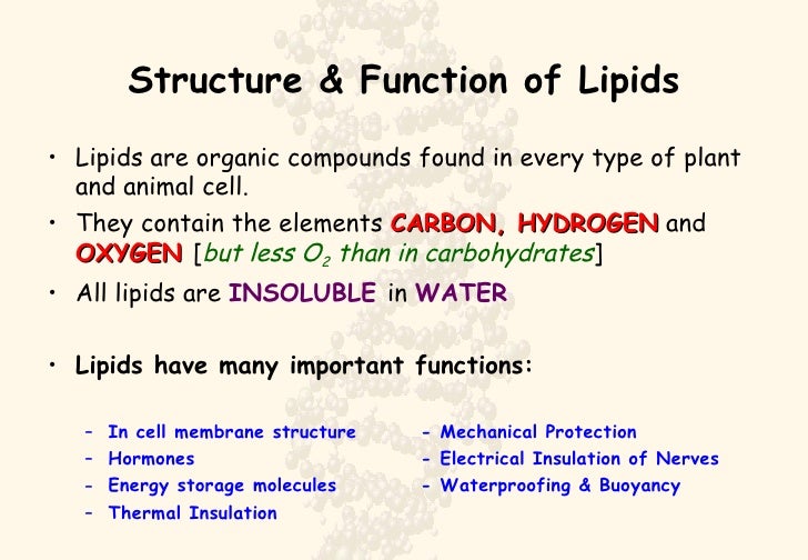 Lipids - Which Of The Following Is A Lipid
