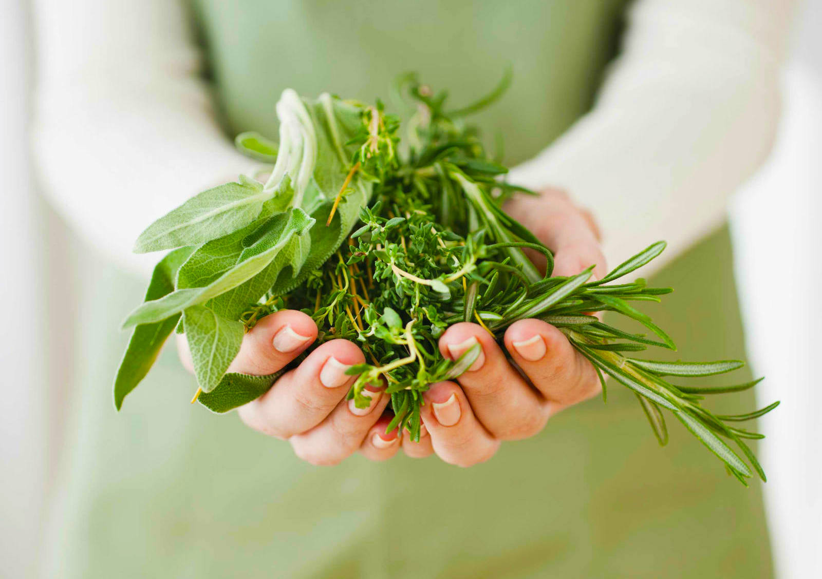 List of 1,000 Herbs and Remedies against Cancer | Best Herbal Health - Herbs To Increase Oxygen In Blood