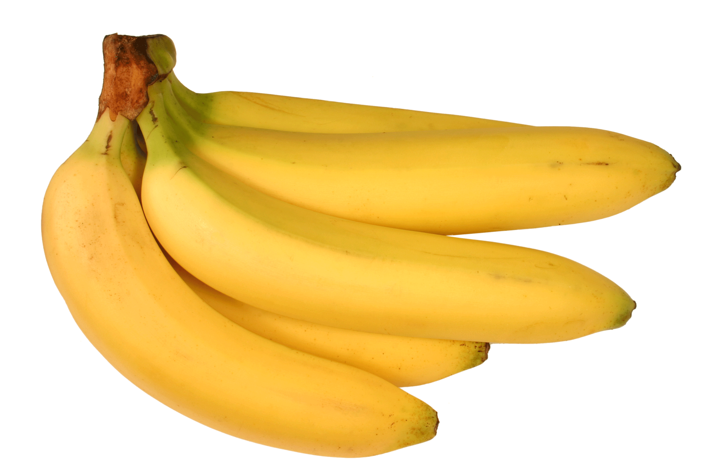 Living on Earth: Top Banana - Banana Trick Weight Loss Reviews Before And After
