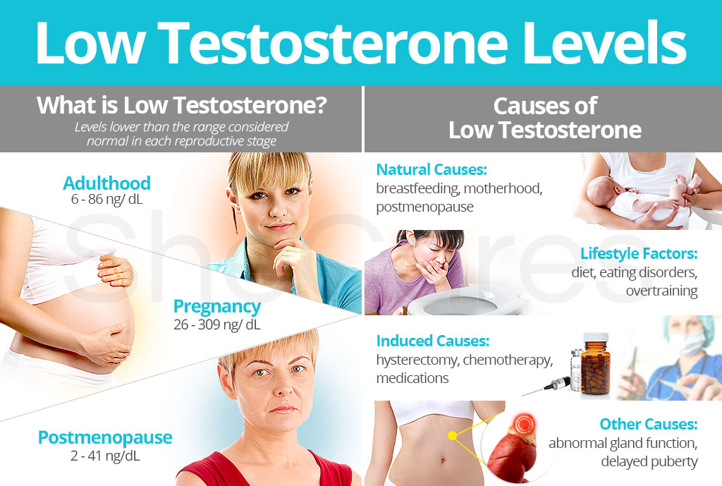 Normal Testosterone But Low Free Testosterone