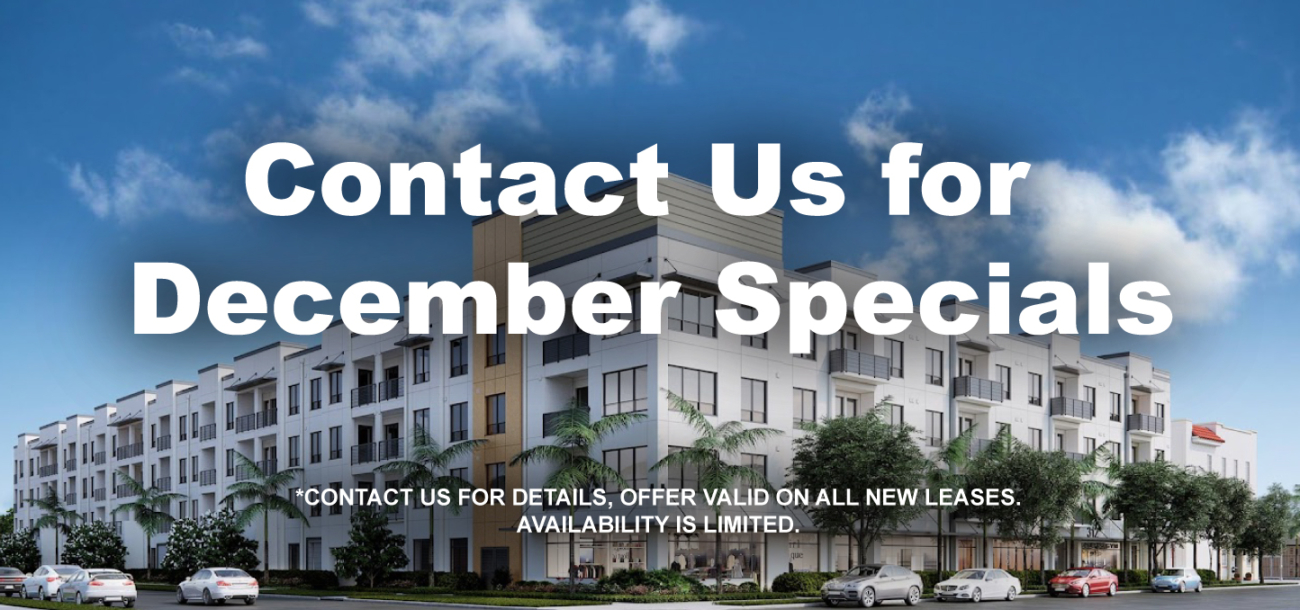 Luxury Apartments West Palm Beach | 312 Northwood West Palm Beach 312 - 312 Northwood West Palm Beach Fl