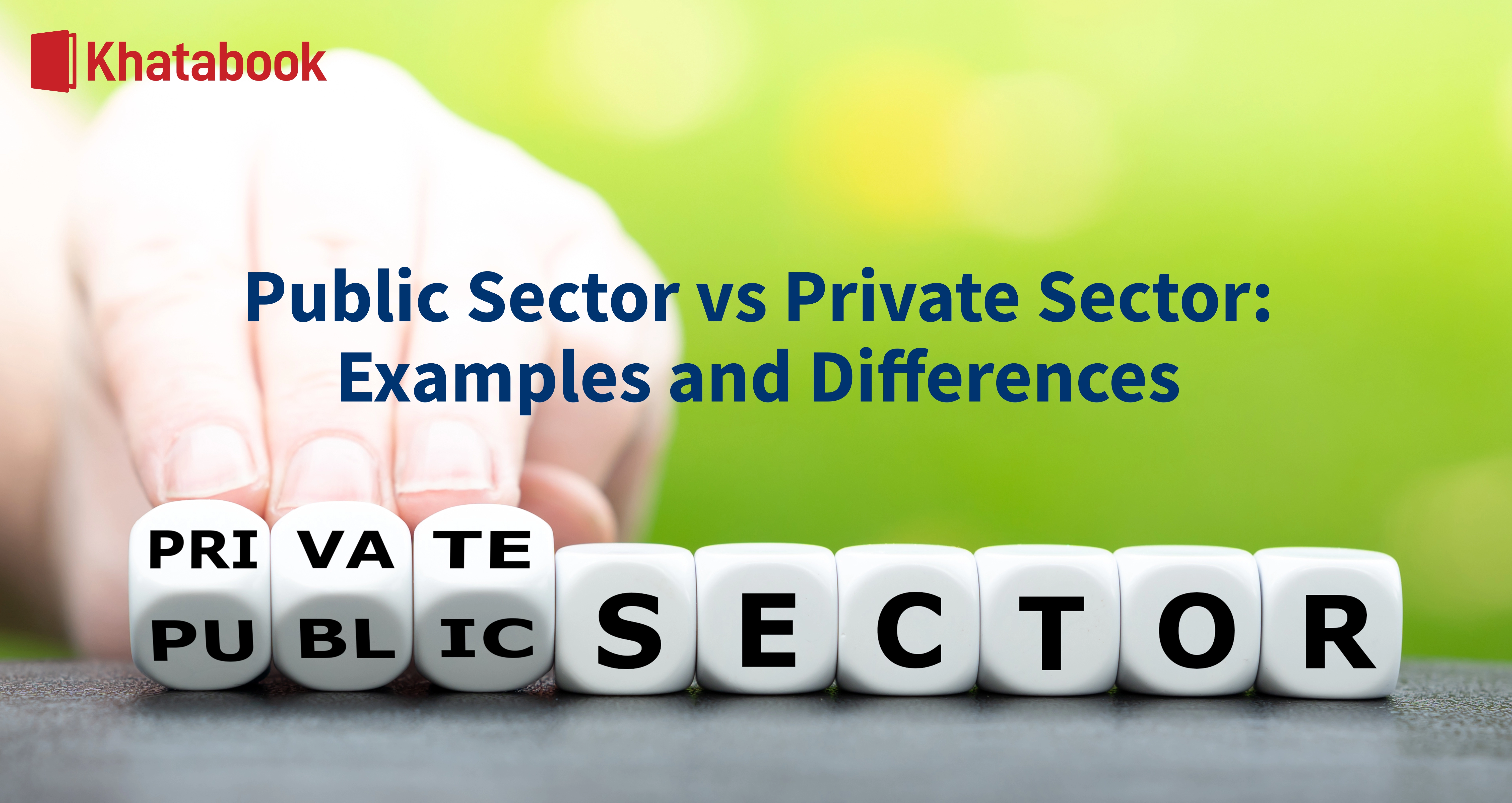 Major Difference Between Private and Public Sector with Examples - How To Private Account On Bluesky