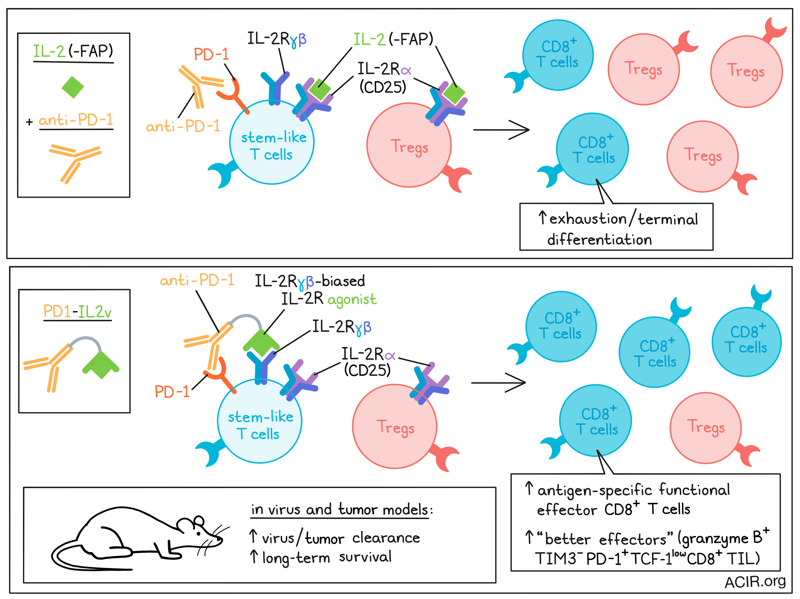 Make It A Double: Bispecific Antibodies Targeting PD-1 And, 45% OFF - Bispecific Pd-1 Vegf Clinical Trial Active Recruiting