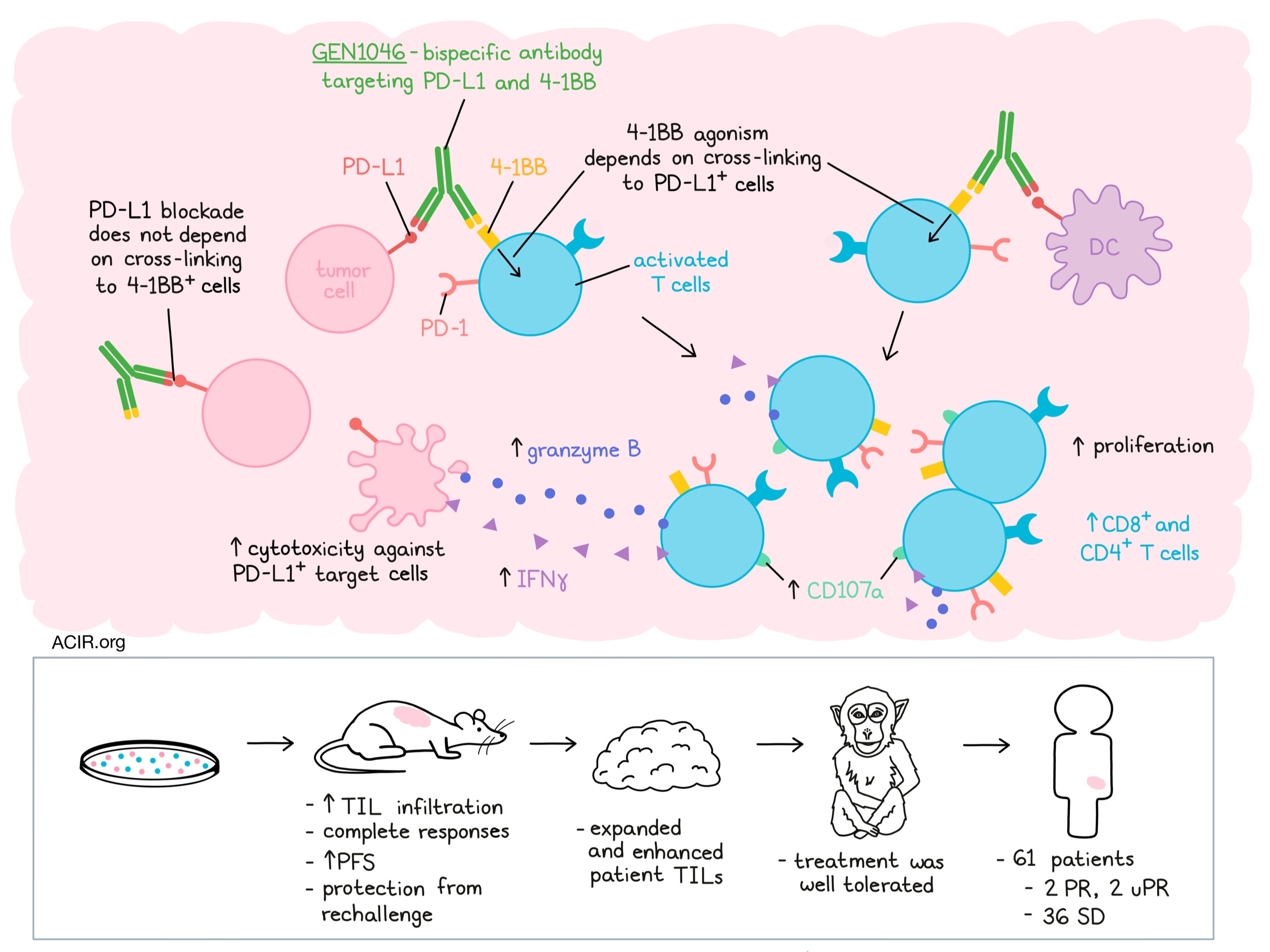 Make It A Double: Bispecific Antibodies Targeting PD-1 And, 45% OFF - Bispecific Pd-1 Vegf Clinical Trial Active Recruiting