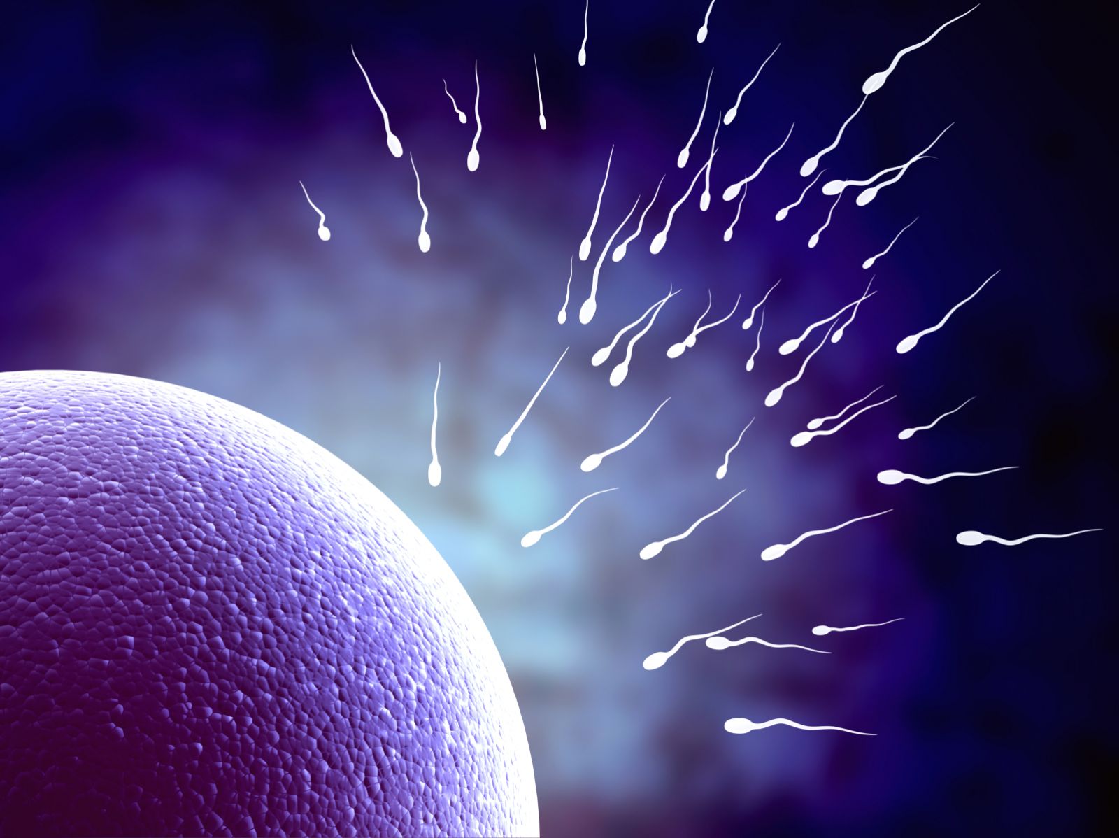 Making fertility-friendly lifestyle choices - Harvard Health - Fertility Centers Of Illinois Warrenville Il
