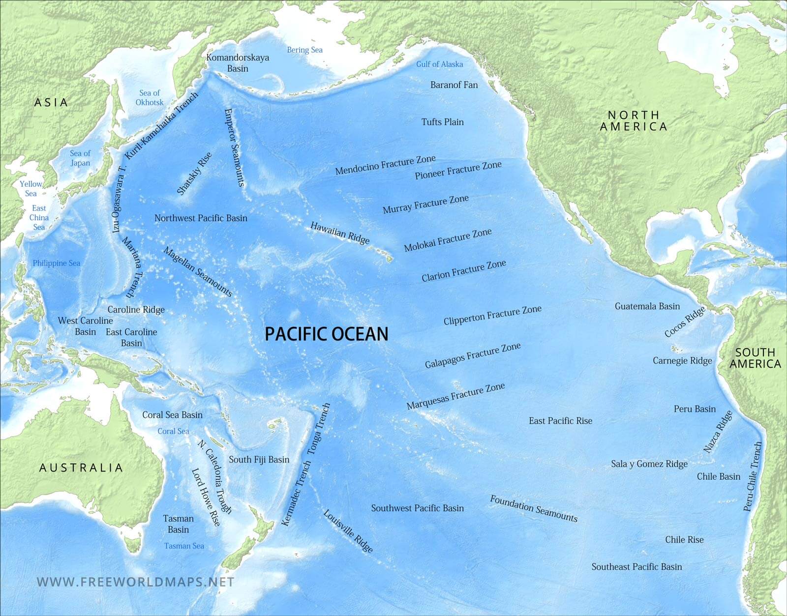 Map Of The World Pacific Ocean World Map - vrogue.co - Pacific Dental Services Dallas Fort Worth Support Office