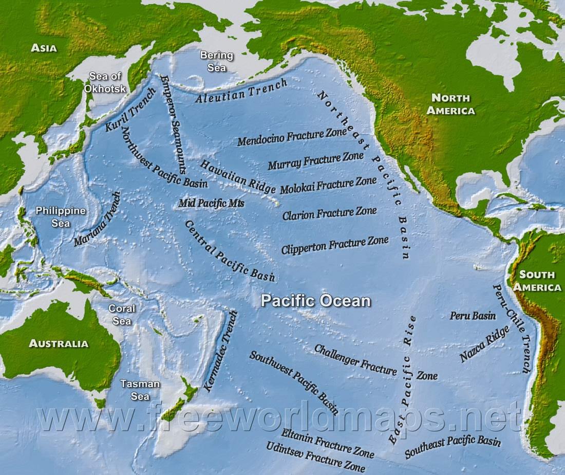 Maps of the Pacific Ocean - Pacific Dental Services Foundation Logo Download