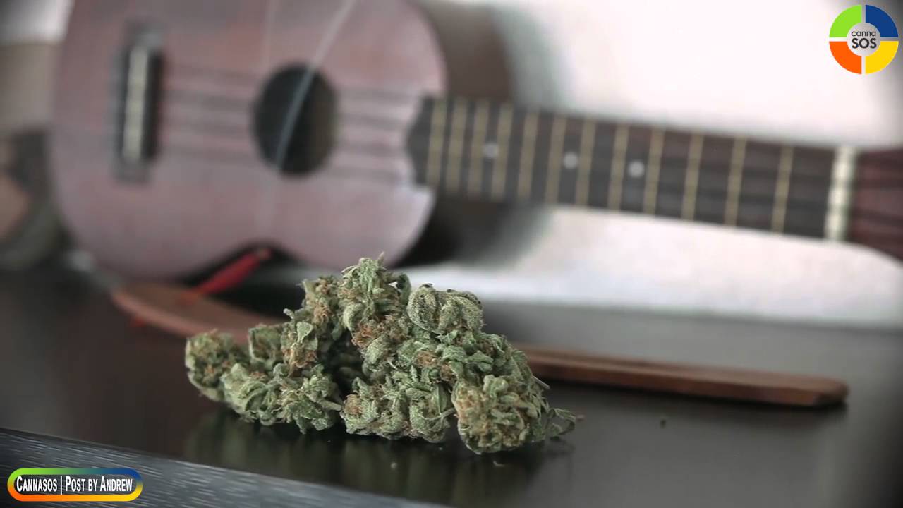 Marijuana heaven - YouTube - Haven Cannabis Marijuana And Weed Dispensary - Lakewood