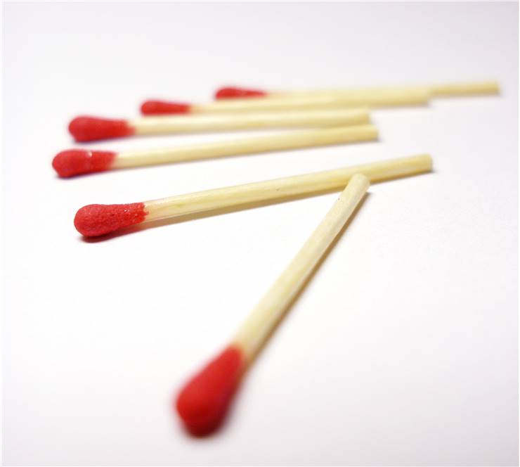 Match the Inventor With the Invention - Match Each Lymphatic Cell With Its Function