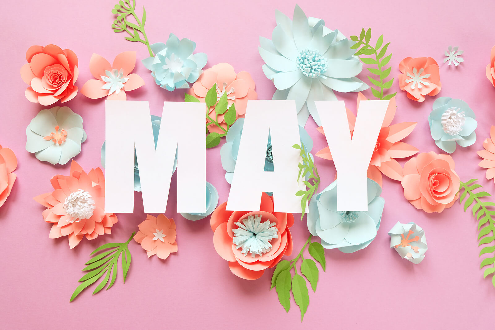 May Resources » Almanac » Surfnetkids - May The 4th Be With You Poster