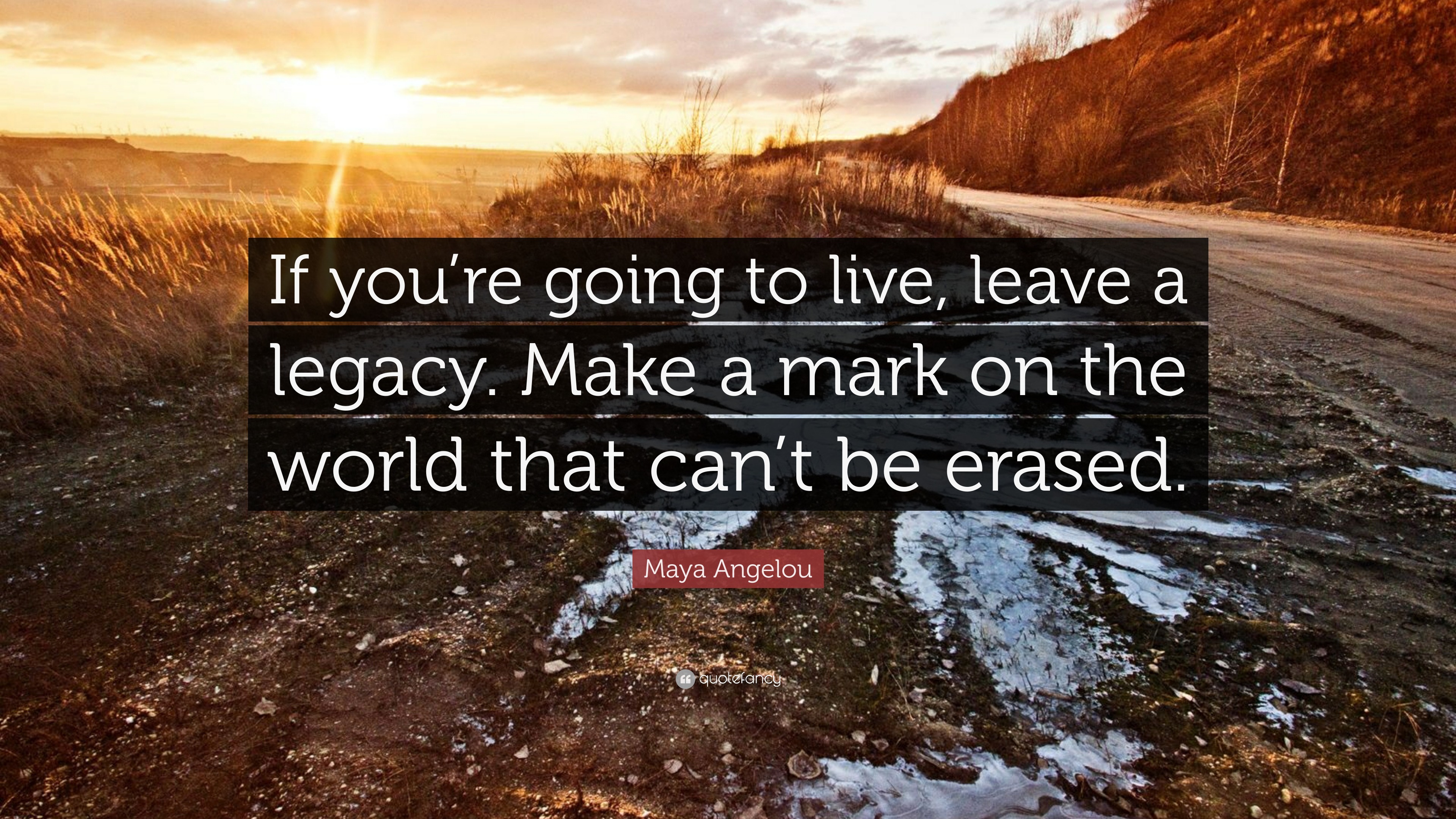 Maya Angelou Quote: “If you’re going to live, leave a legacy. Make a - Legacy Property Management Of Silicon Valley