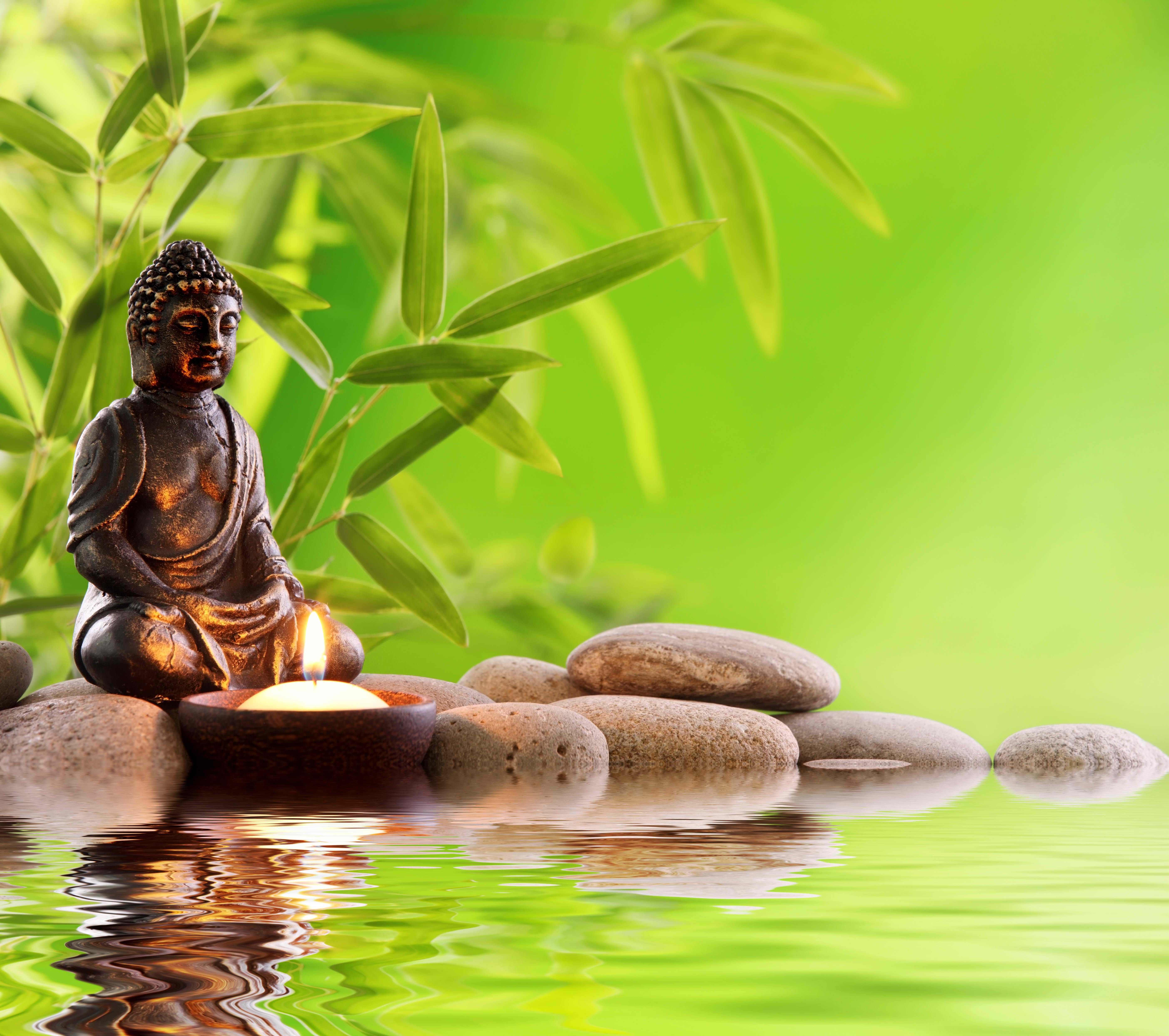 Zen Leaf - Elizabeth 117 Spring St Elizabeth Nj 07201