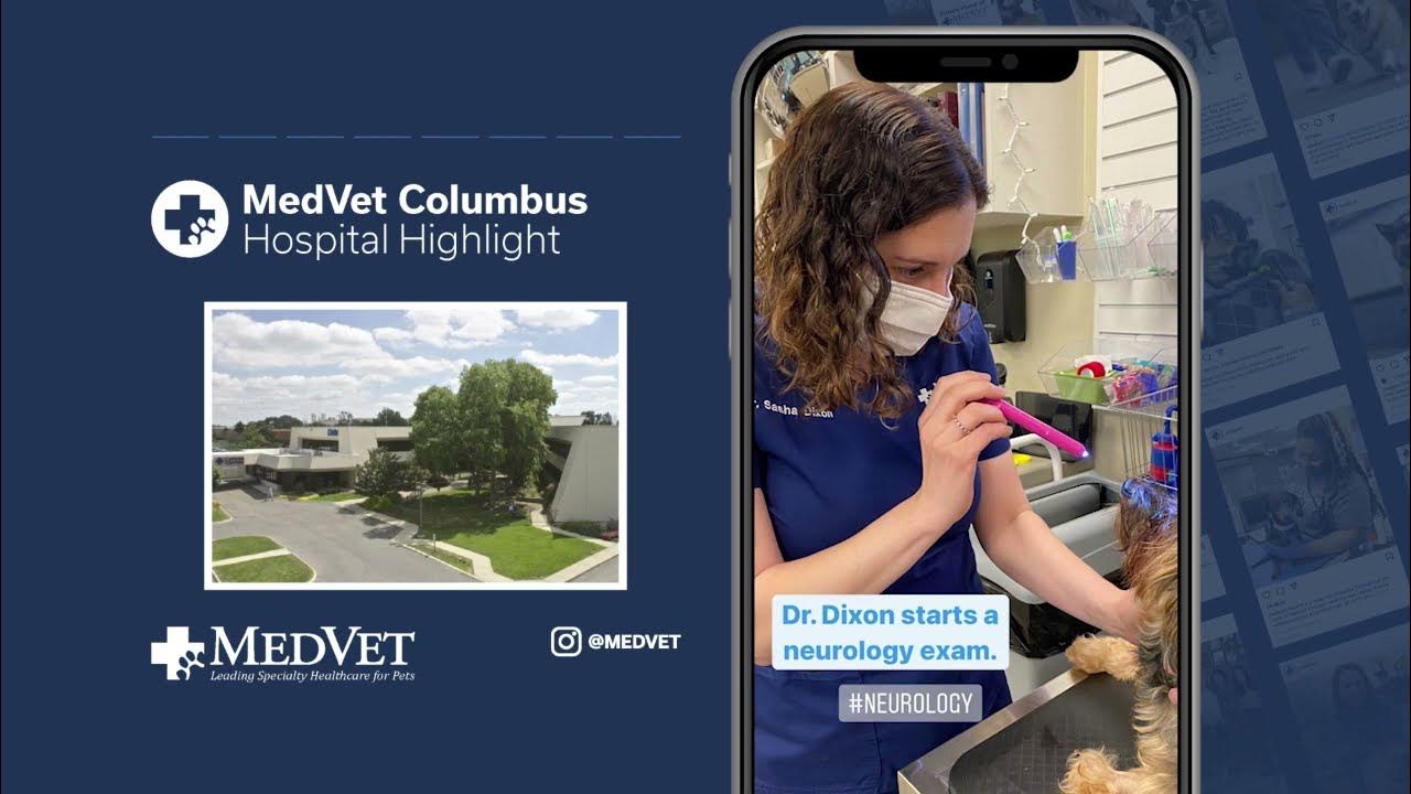 MedVet Columbus Hospital Highlight Instagram Story - YouTube - Medvet Columbus East Wilson Bridge Road Worthington Oh