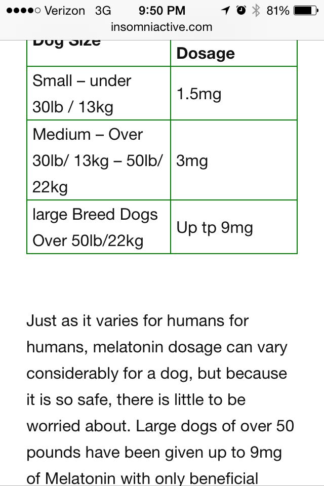 How Much Melatonin To Give A Dog