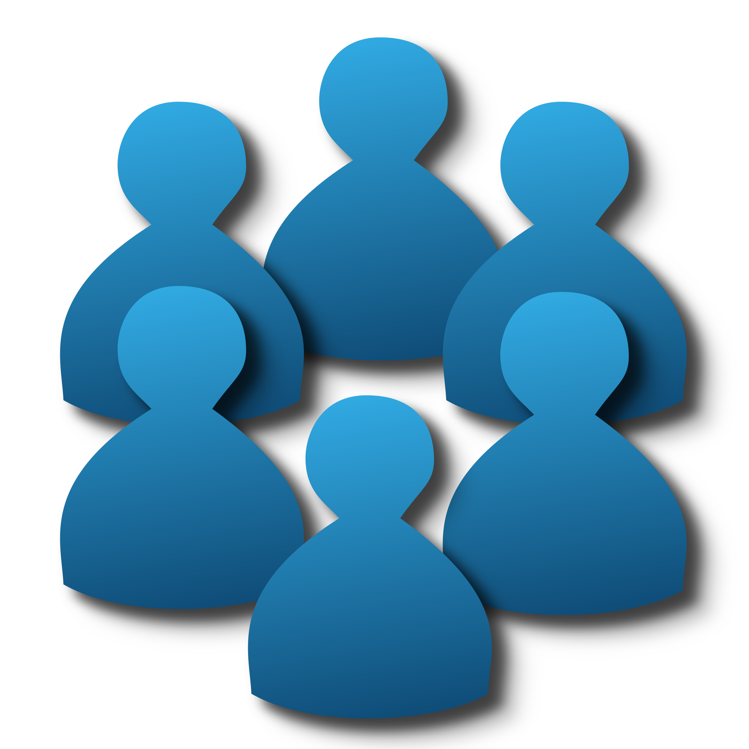 Members Of The Ahima House Of Delegates Are
