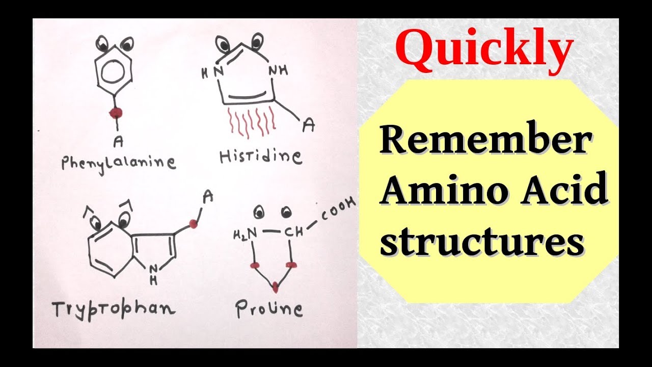 Memorize amino acids - YouTube - How To Remember 20 Amino Acids