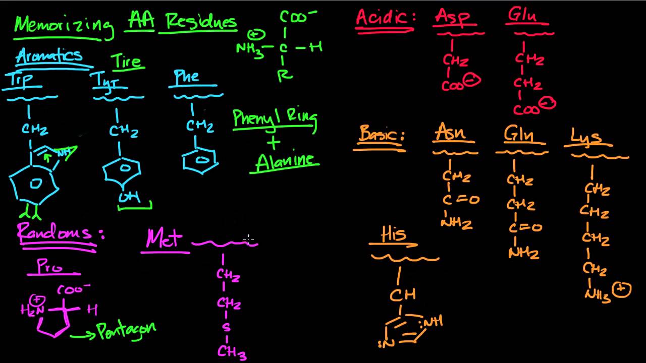 Memorizing Amino Acids Part 2 - YouTube - How To Remember 20 Amino Acids