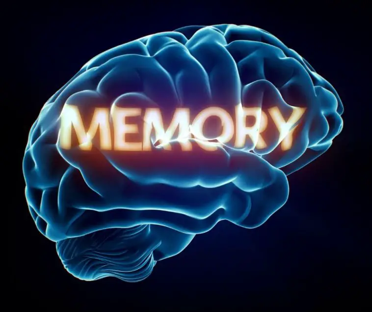 Memory Wave Reviews And Complaints Reddit