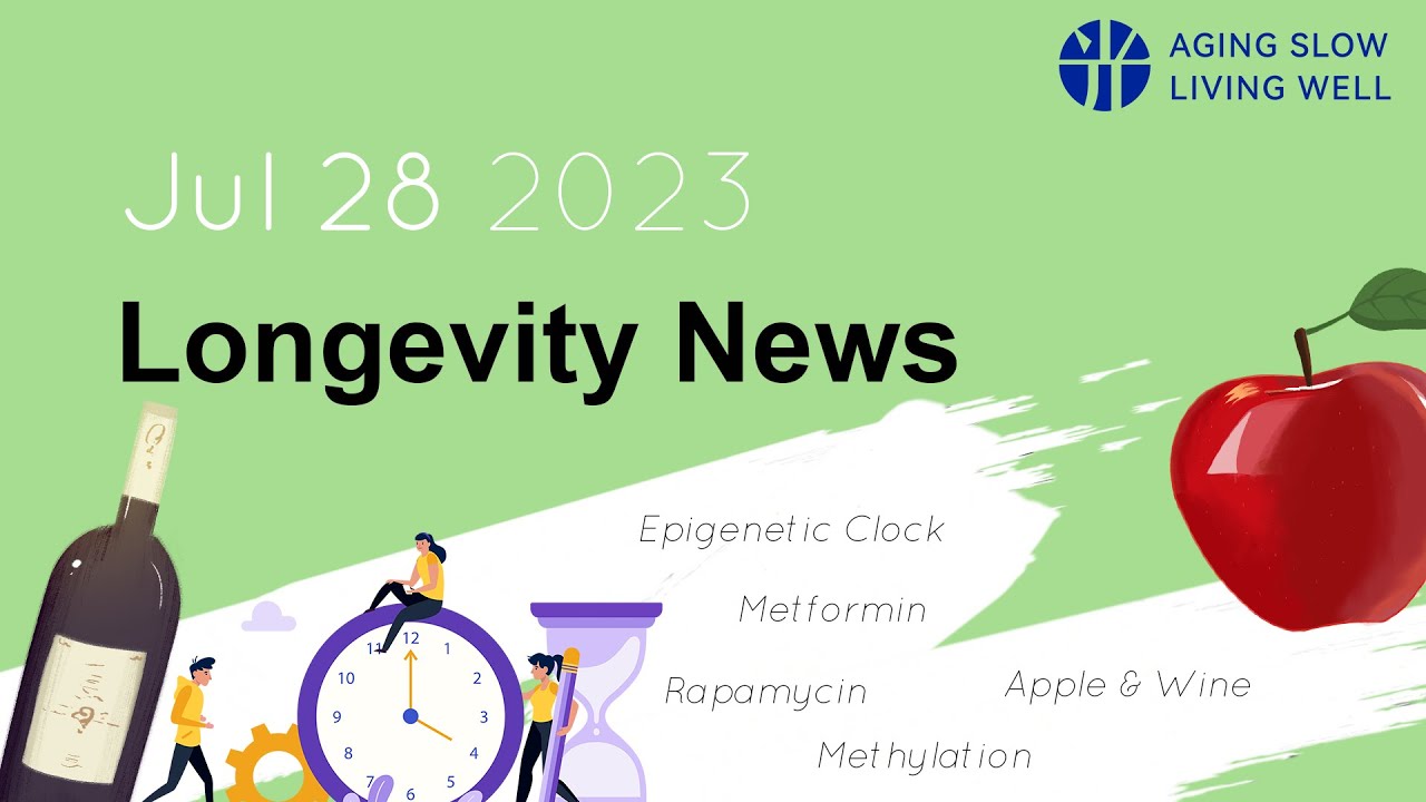 How Much Will Metformin Lower A1c In 3 Months