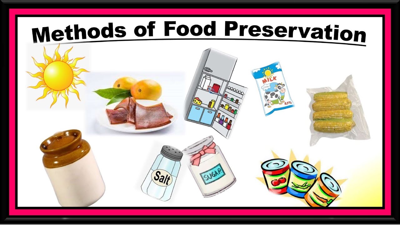 Methods of Food Preservation - YouTube - All Of The Following Are Methods Of Food Preservation Except