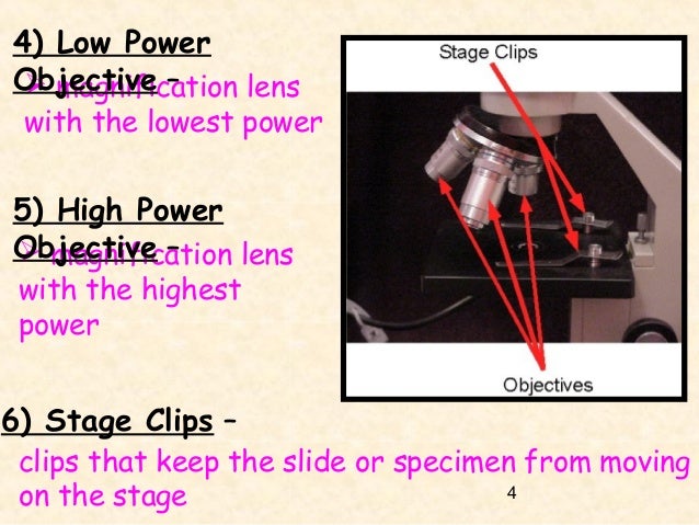 Microscope - Magnification Of The Low Power Objective Lens Is Usually