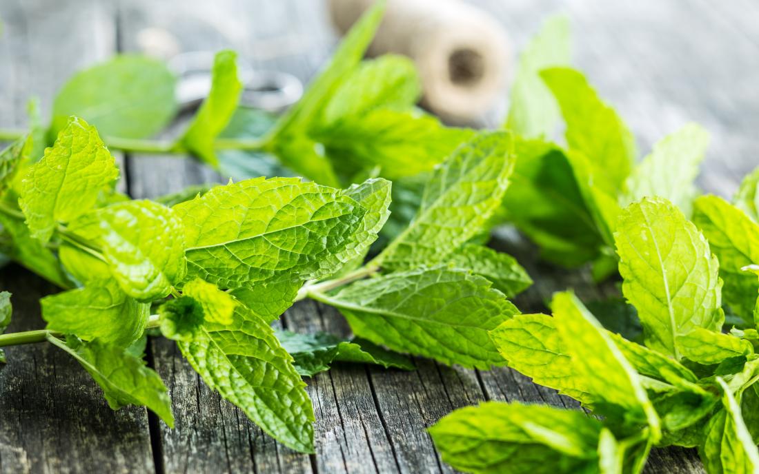 Mint: Benefits, nutrition, and dietary tips - Mint Eco Car Wash Jupiter Reviews
