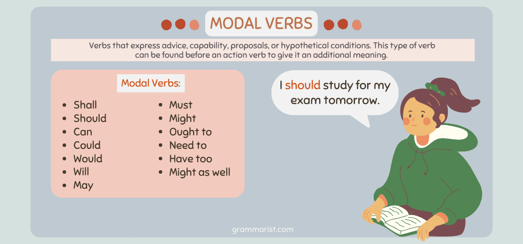 Modal Verbs - Uses, Examples - Why Would My Dog Pee On The Couch