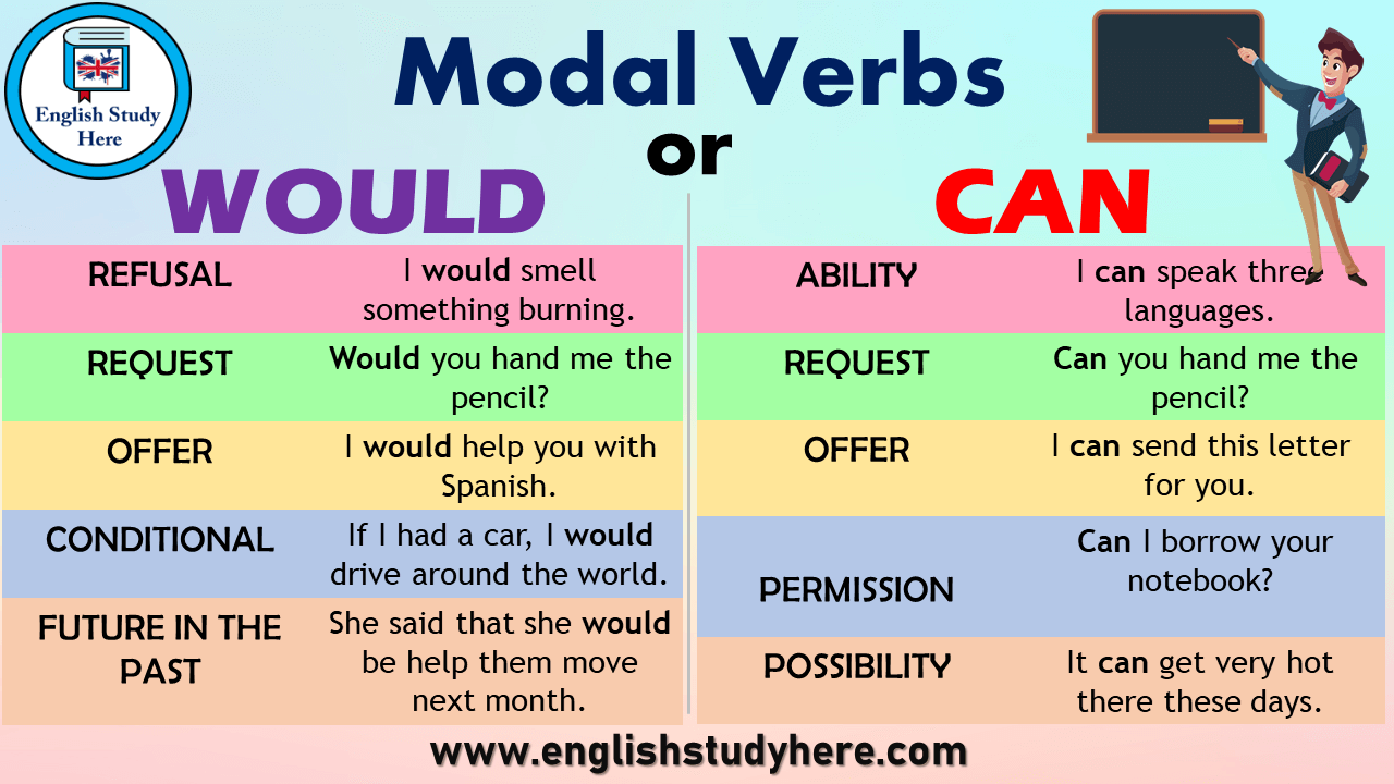 Modal Verbs Would or Can - English Study Here - Where Would You Find The Receptor For Pth