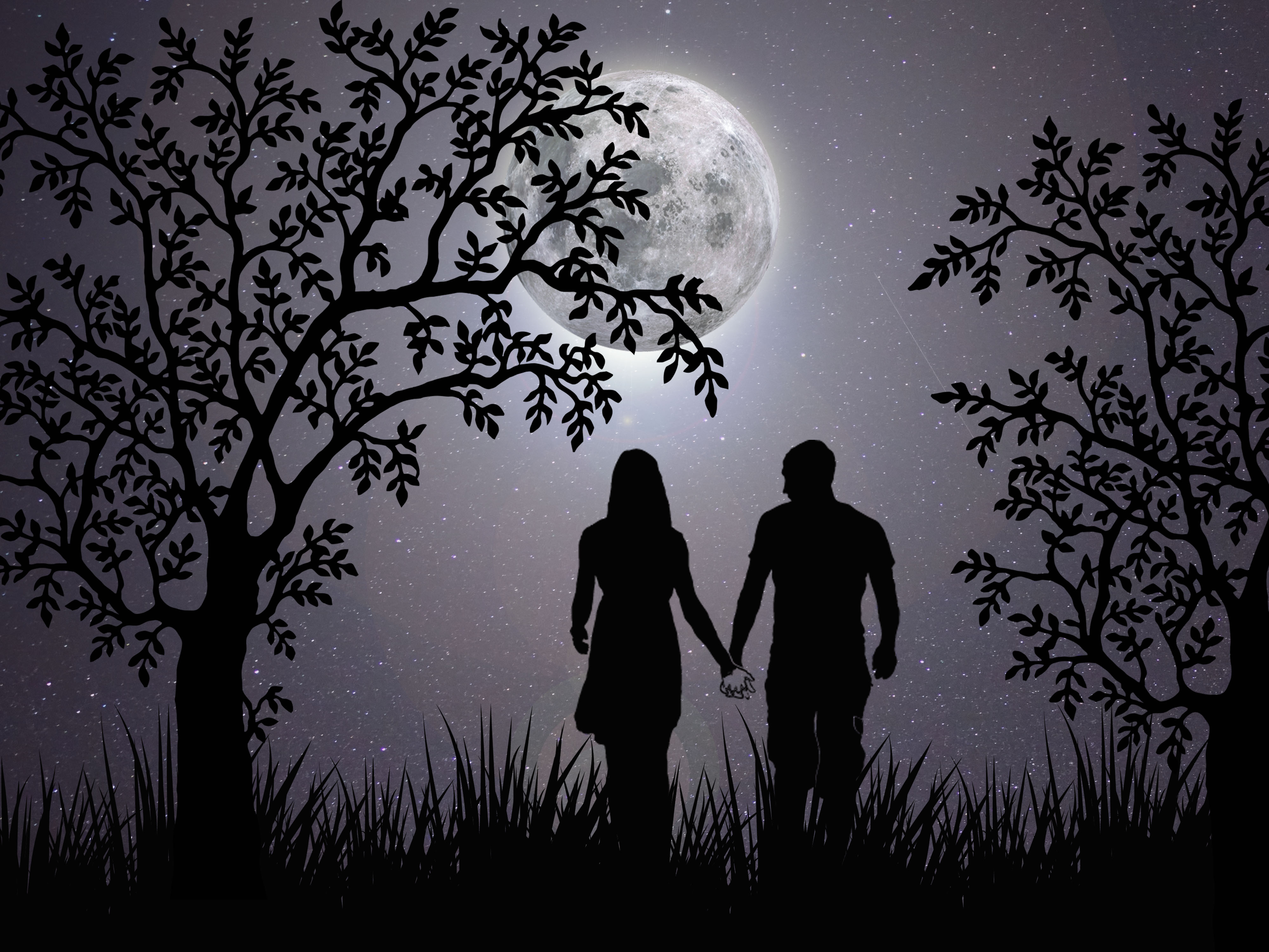 Moonlight Night Love - Love Is All You Need Las Vegas