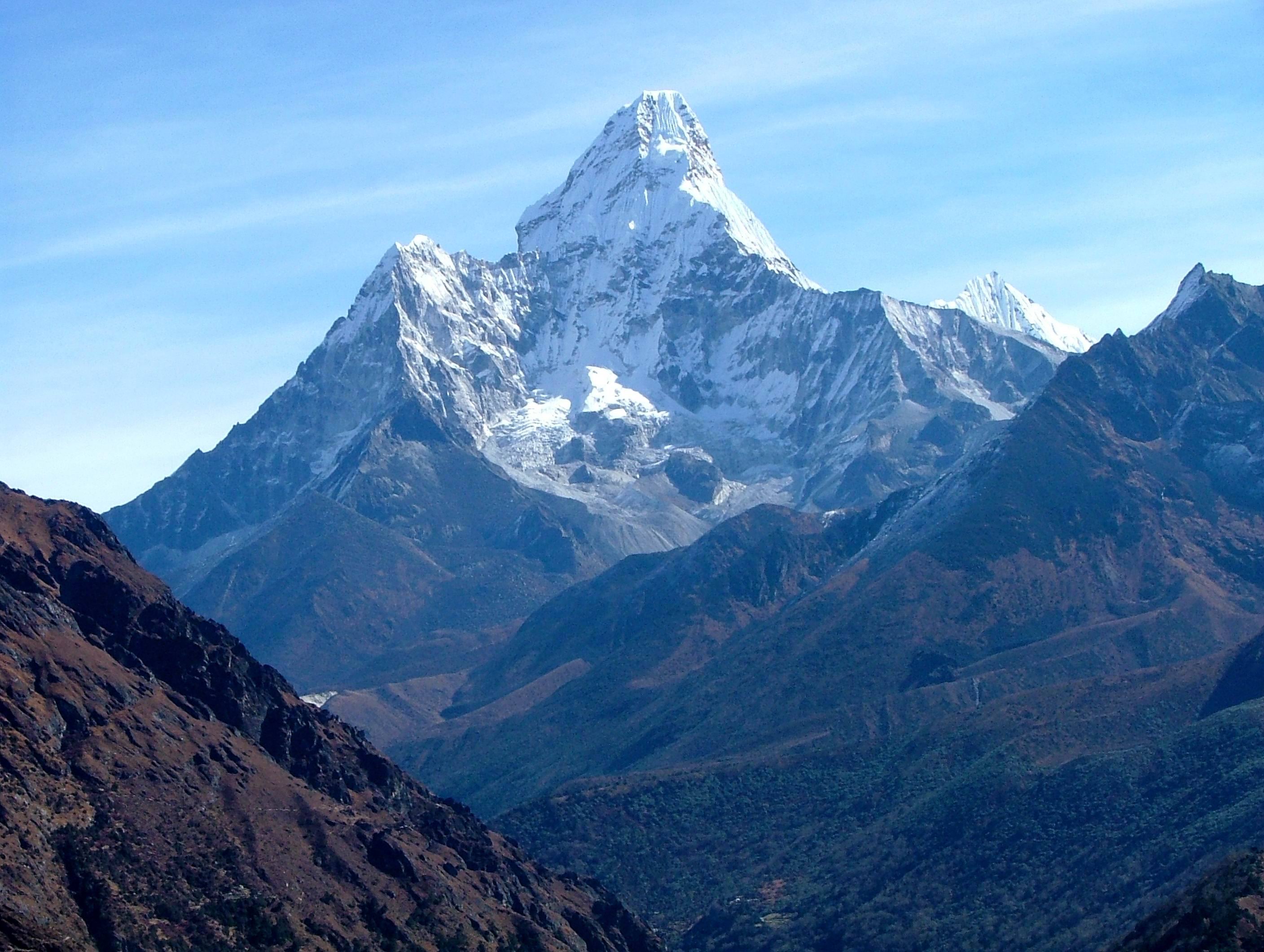 Mount Sinai Million Health Discoveries Program