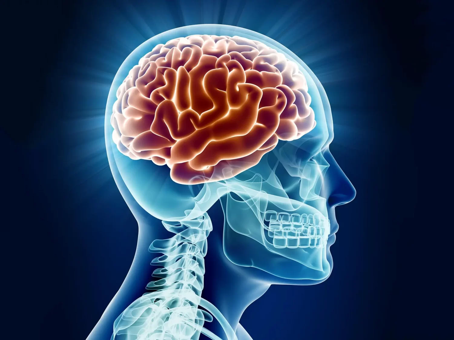 MS AND BRAIN HEALTH - My MS Family - Brain Structure And Function Journal Impact Factor