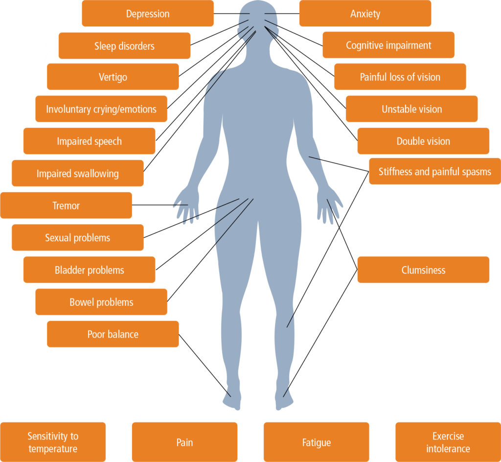 Multiple sclerosis in primary care – diagnosis and early treatment - Ms High White Blood Cell Count