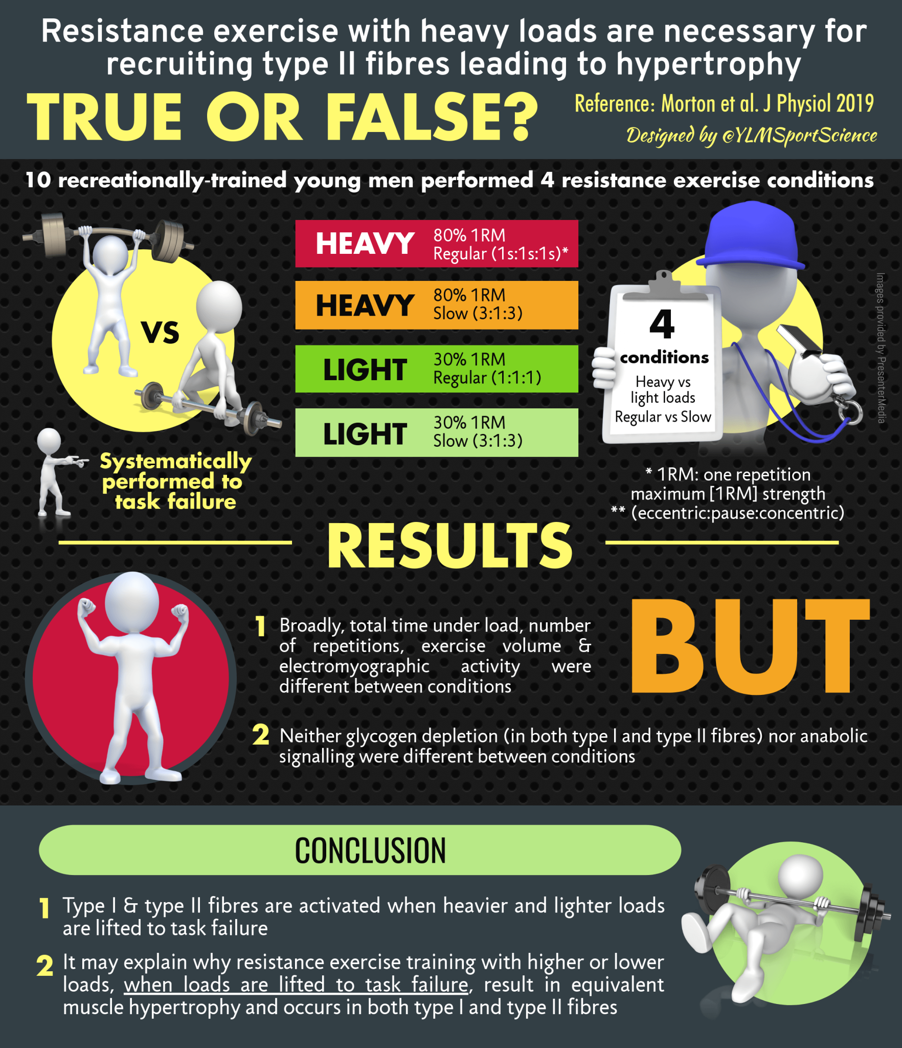Muscle – YLMSportScience - Extensive Weight Training Causes The Muscle Cells To