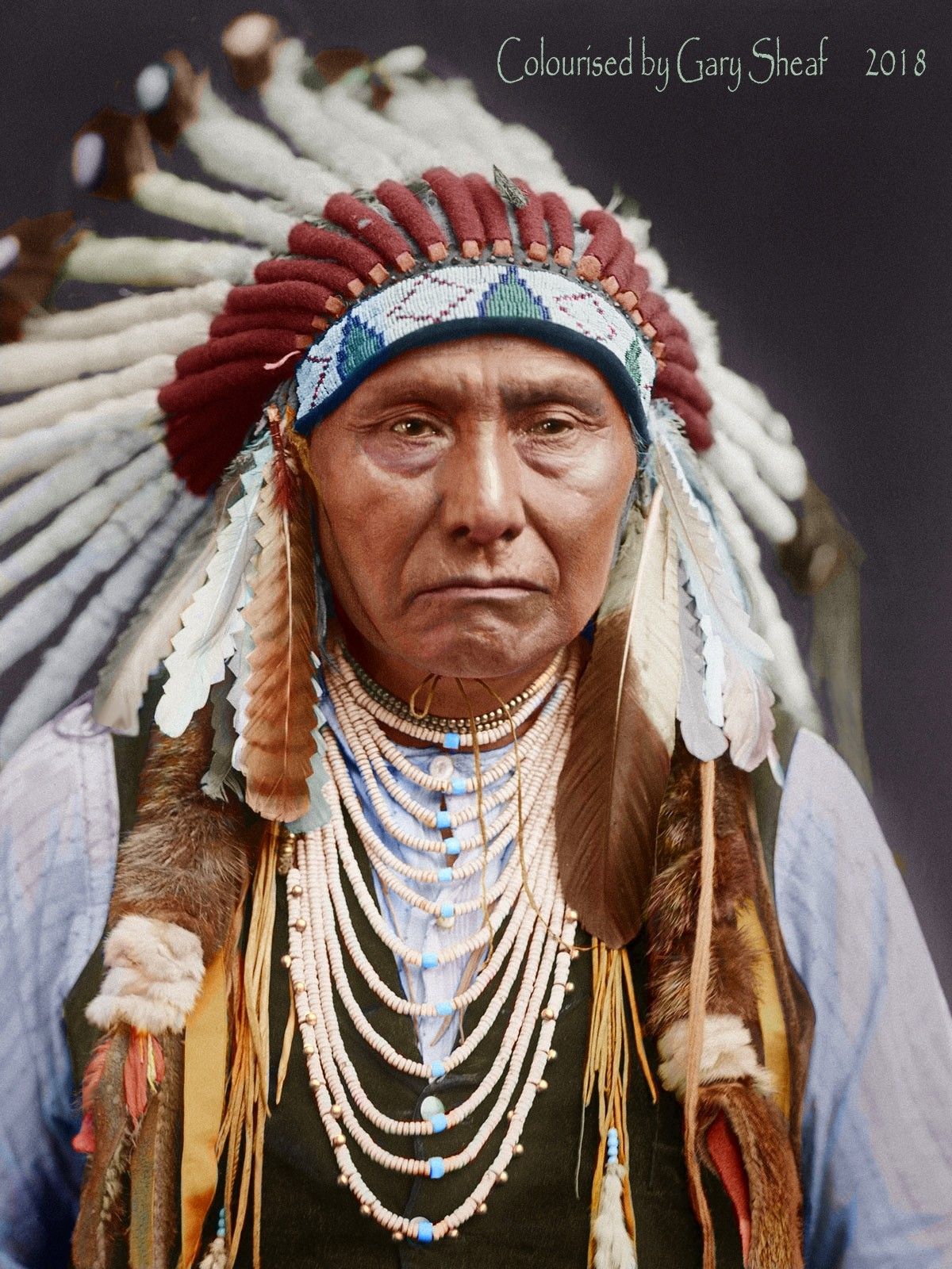Native american chief, Native american symbols, Native american history - Chief Of Community Impact Tarrant Area Food Bank